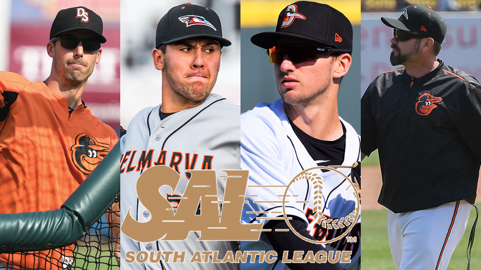 Delmarva Shorebirds named 2019 MiLB Team of the&nbsp;Year