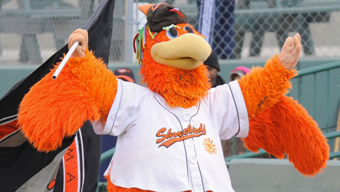 Shorebirds have hot week, take 5 of 6 from Fredericksburg: Weekly&nbsp;Recap