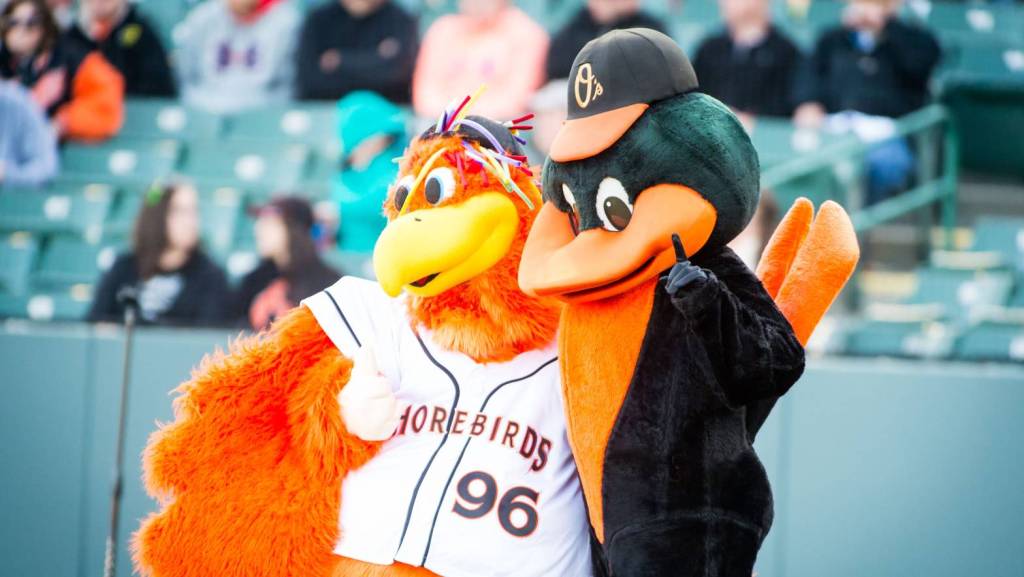 Delmarva drops series to Charleston, remains above .500: Weekly&nbsp;Recap